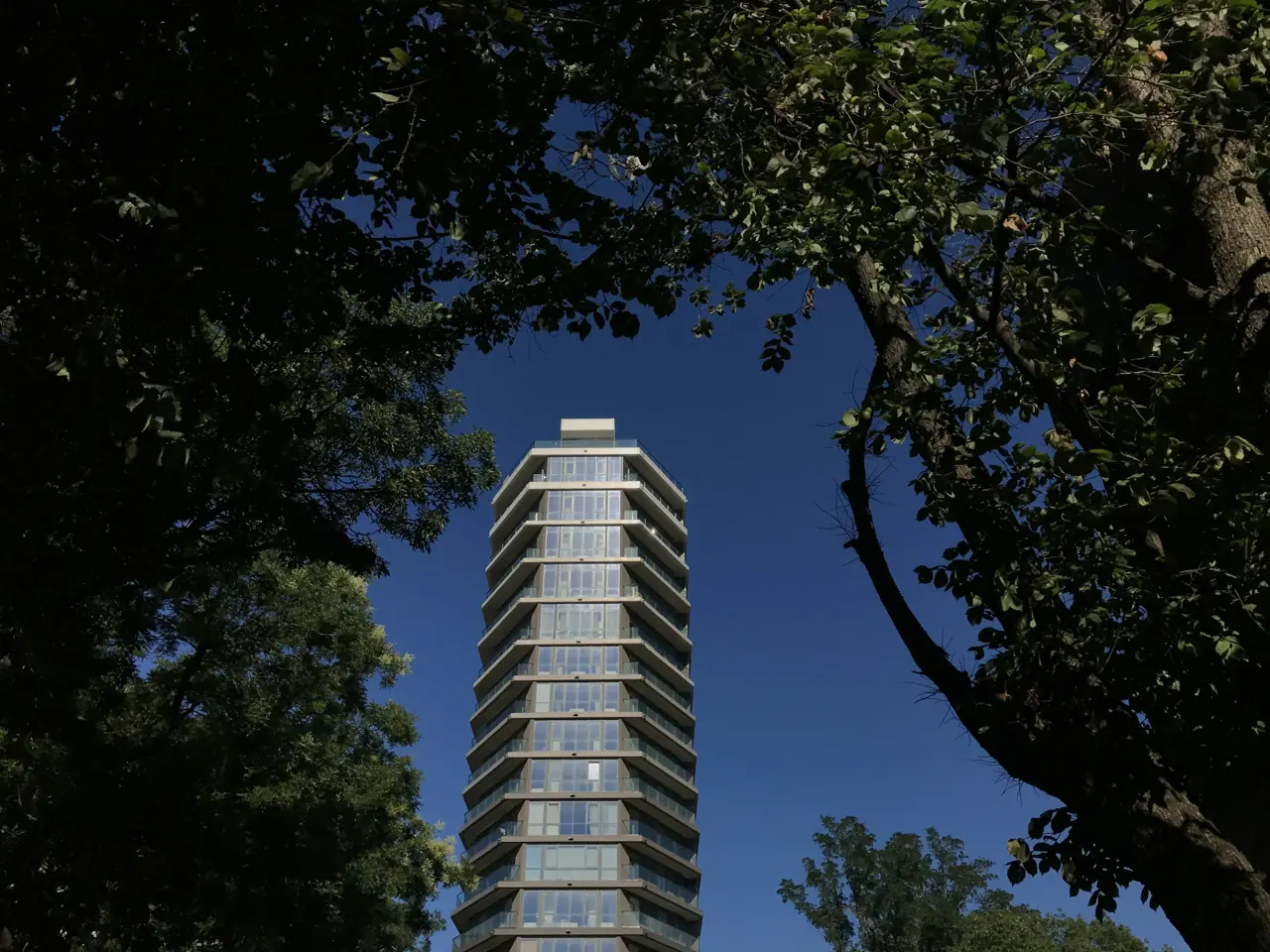 Tour résidentielle vue à travers les arbres, sous un ciel bleu